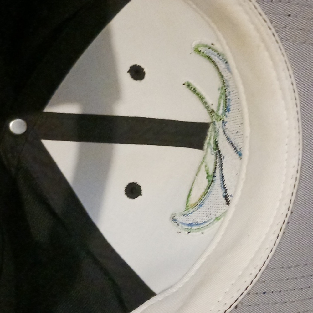 Tampa Bay Devil Rays Baseball Cap. - image 7